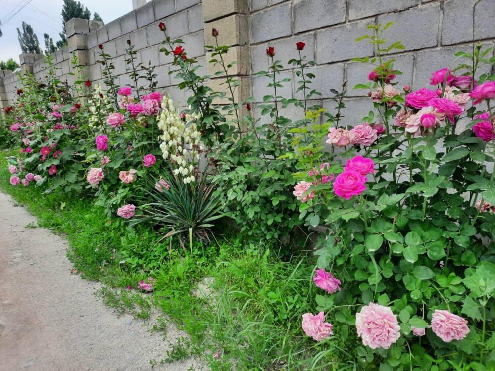 Homestay Jaisel Biškek Exteriér fotografie